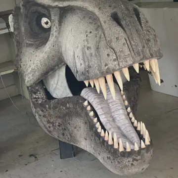 Animatronic T-Rex EPS Foam Head for Jurassic Park Exhibit