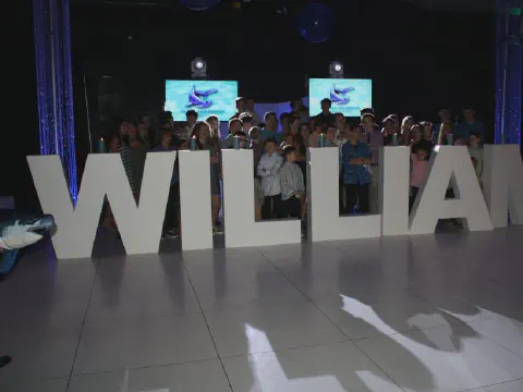 Bar Mitzvah Celebration Idea