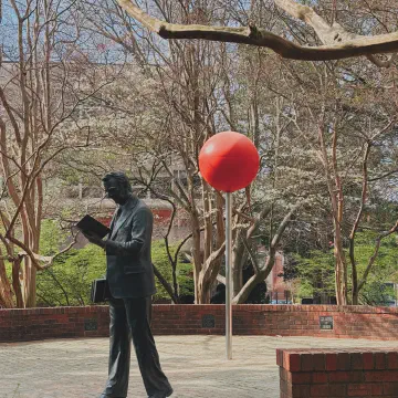 30-Inch EPS Hollow Spheres Featured in NC State's Record-Breaking Day of Giving Campaign