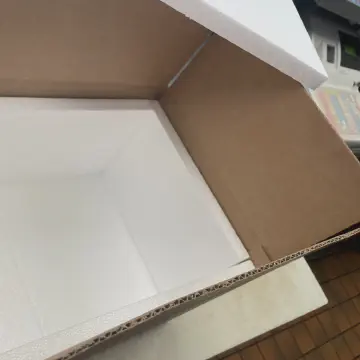 Expanded Polystyrene Foam Carton Liners for Shipping Frozen Food