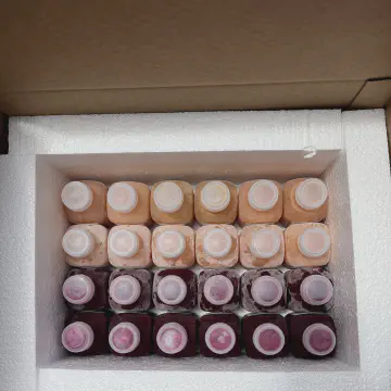 Foam Carton Liners for Shipping Frozen Juice