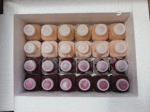 Foam Carton Liners for Shipping Frozen Juice